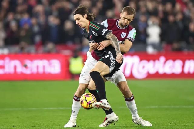 1733007410836022949.jpg 1733007120335.jpg